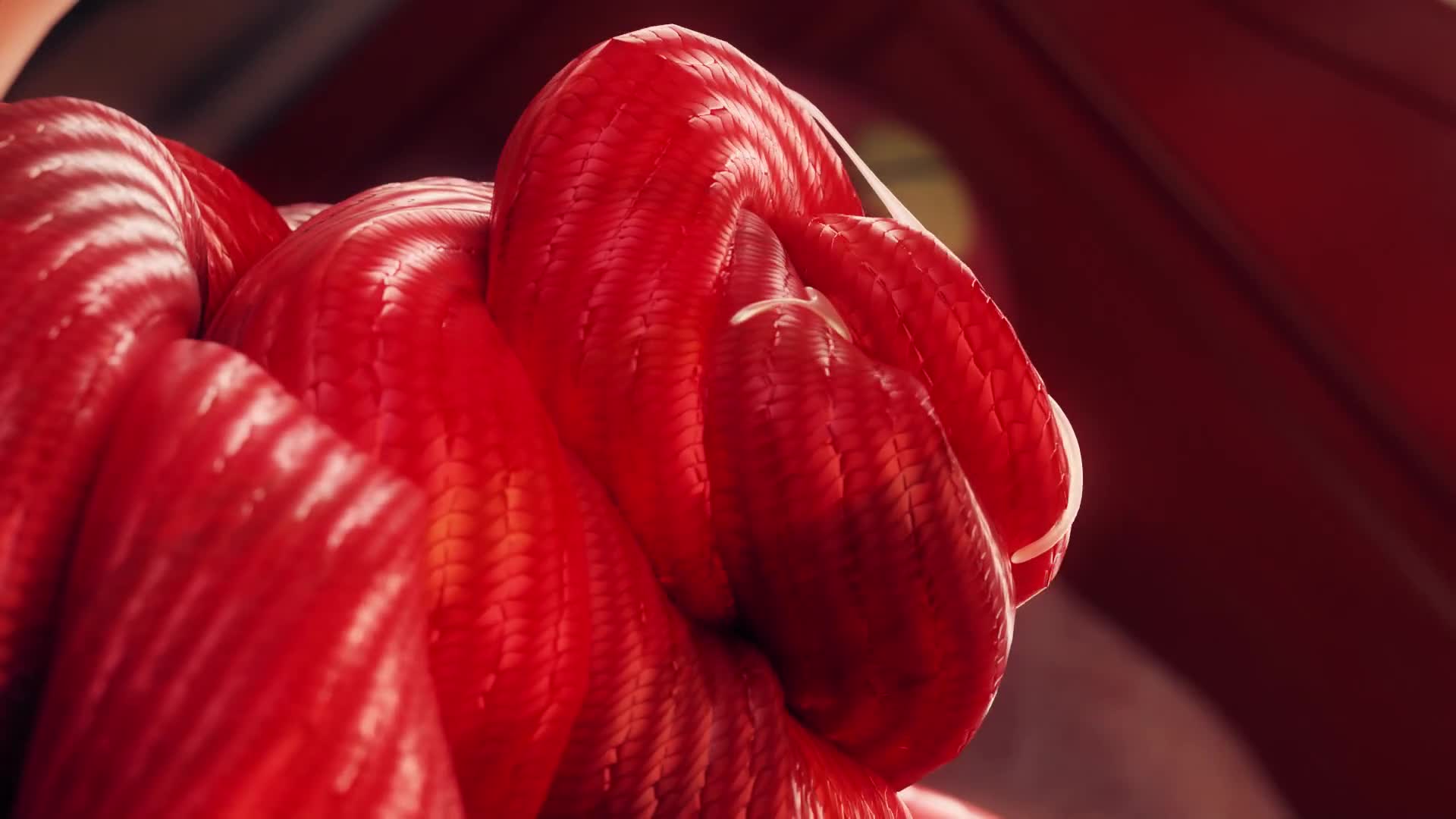 Miia & Mother Suck – Monster Musume NSFW animation thumbnail