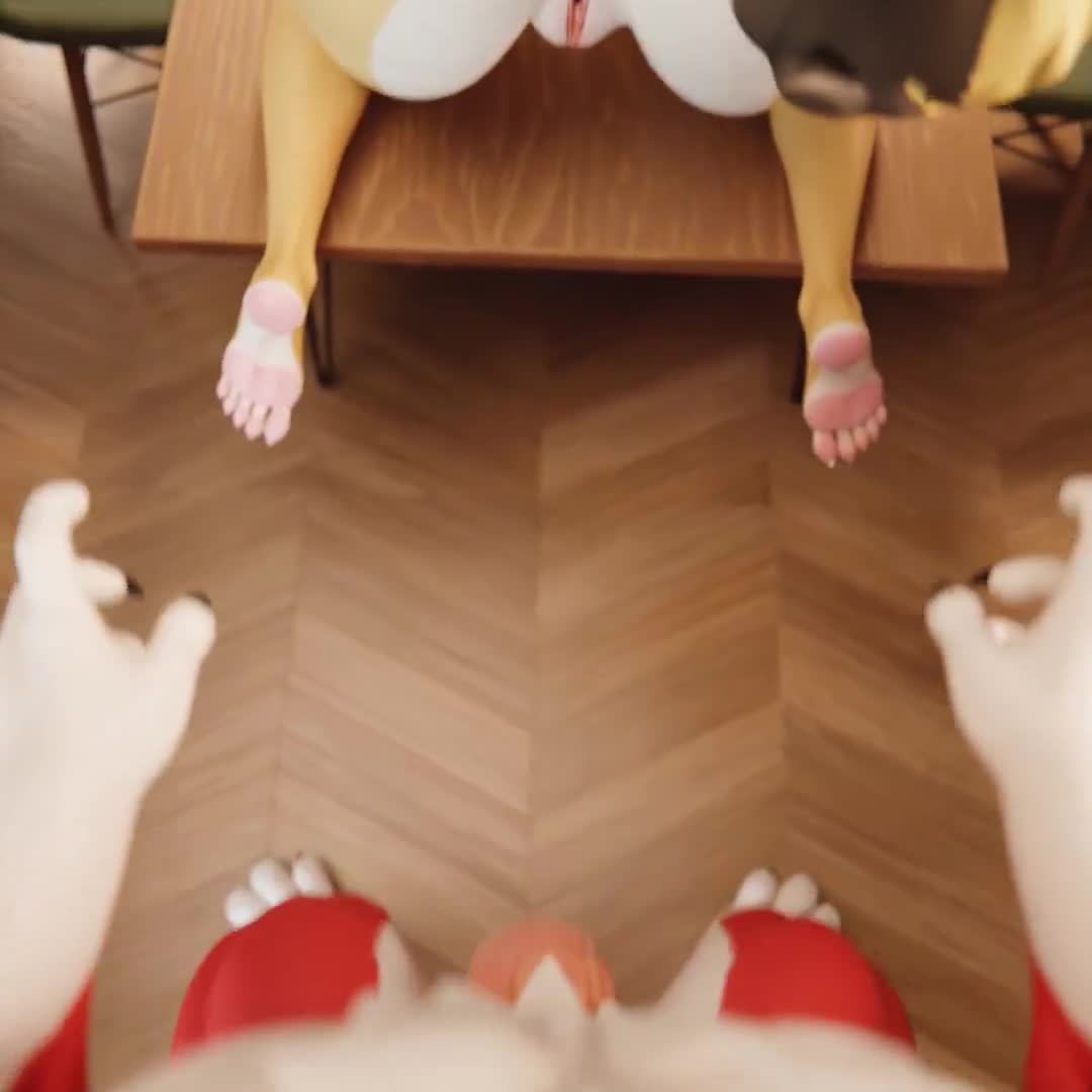 Pulchra’s Cumflated Doggy – Zenless Zone Zero NSFW animation thumbnail