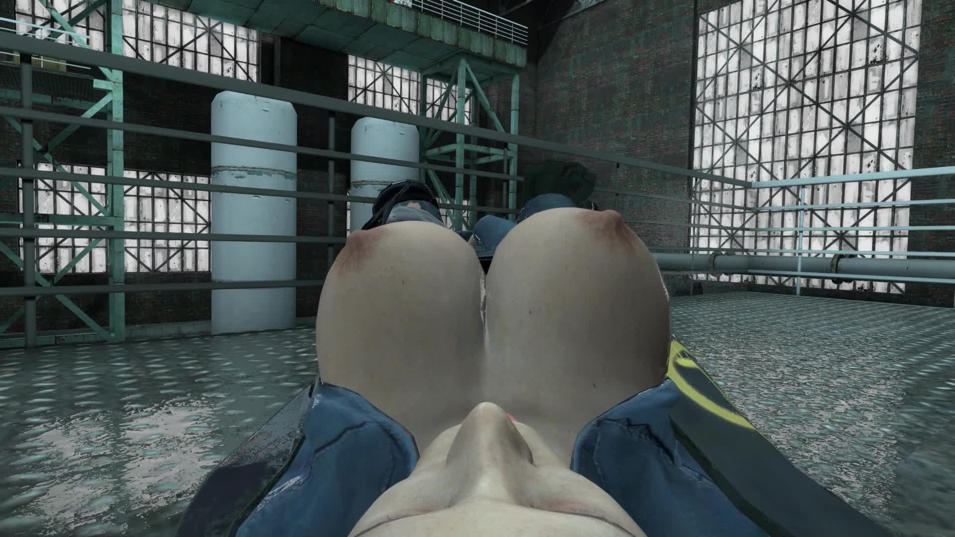 Rebel Citizen Deepthroat Pussy Ravaging -Half-Life 2 NSFW animation thumbnail