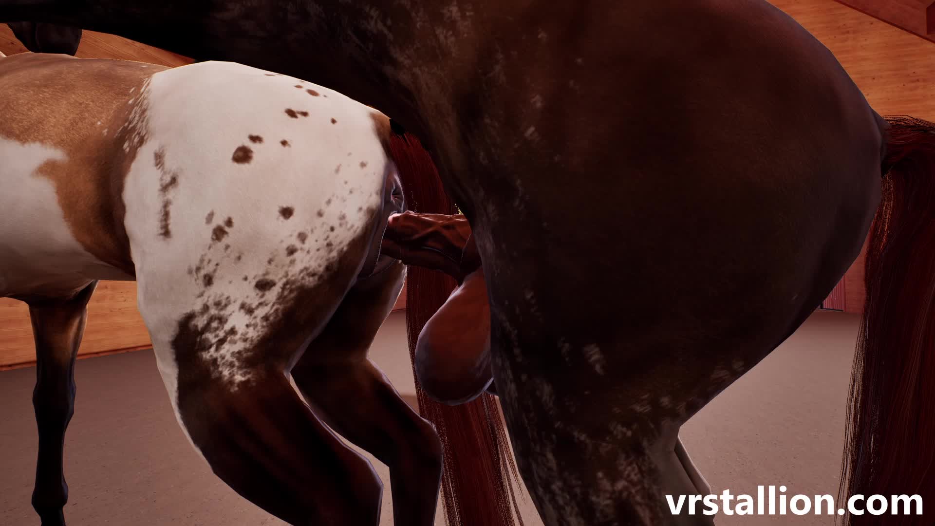 Feral Stallion Brutal Anal Pound Mare – VRStallion NSFW animation thumbnail