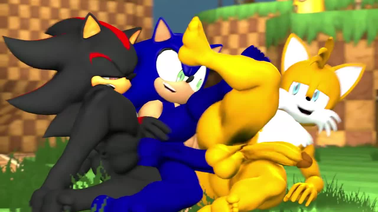 Tails Penetrated by Sonic Shadow Train – Sonic NSFW animation thumbnail
