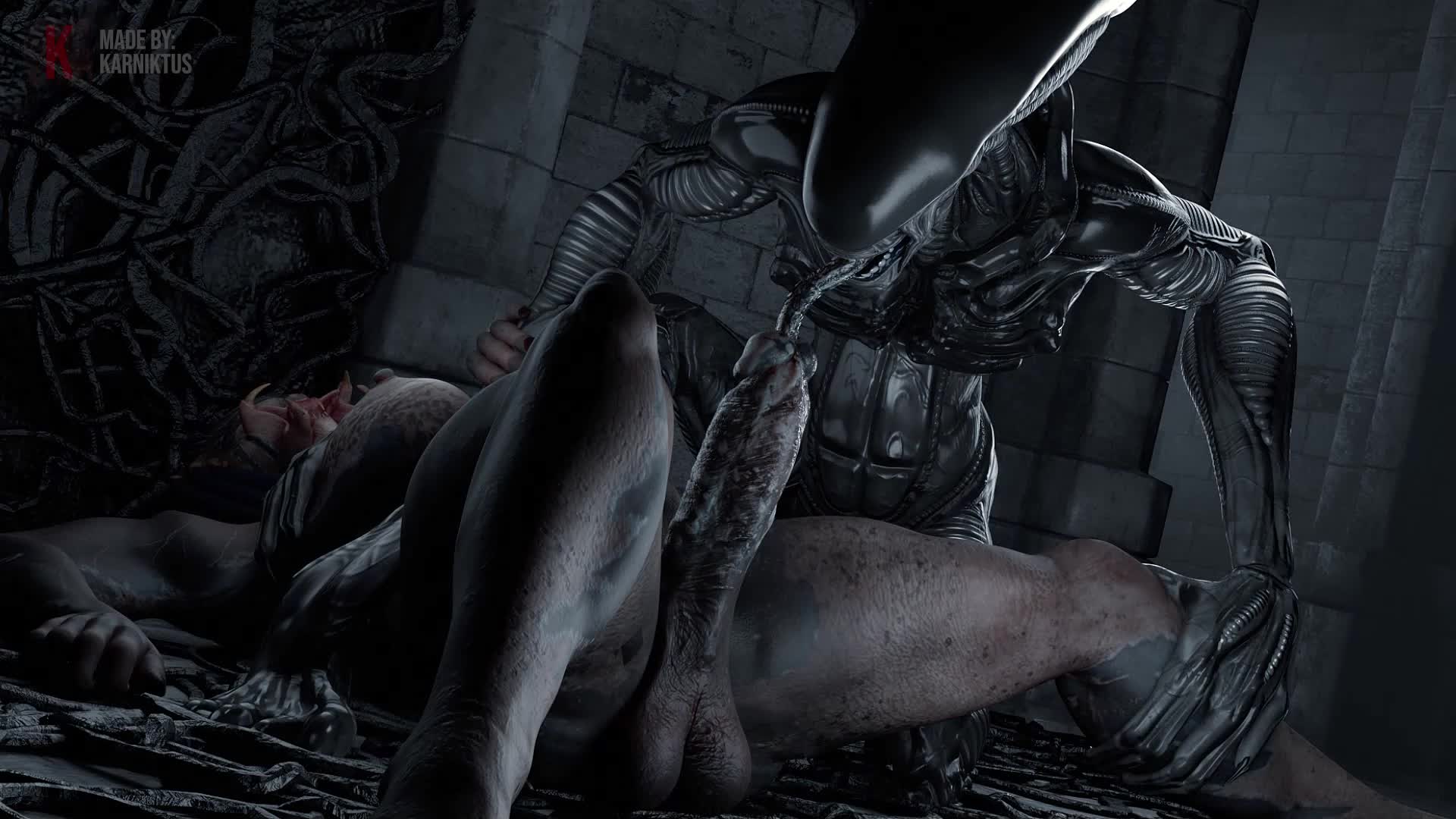 Futa Yautja Urethral Blowbangs Busty Xenomorph – Predator NSFW animation thumbnail